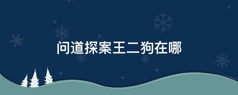 问道探案王二狗在哪（问道王二狗在什么地方）