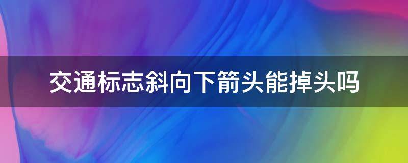 交通标志斜向下箭头能掉头吗（路口直行箭头可以掉头吗）