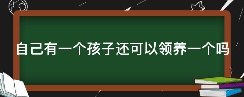 自己有一个孩子还可以领养一个吗 已有一个孩子还可以领养一个孩子吗