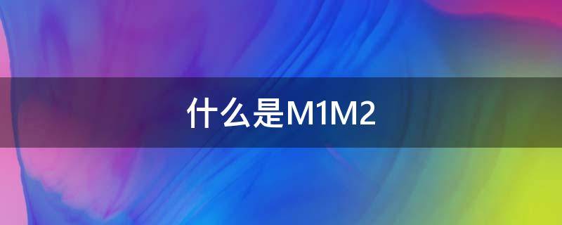 什么是M1M2（什么是m1m2货币）