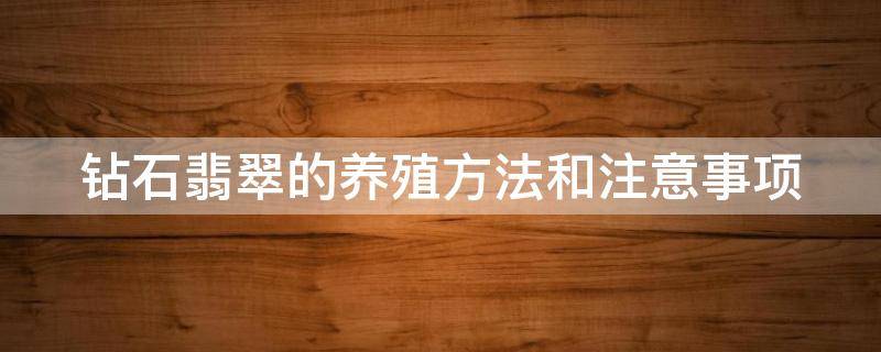 钻石翡翠的养殖方法和注意事项 钻石翡翠吊兰怎么养才能更旺盛