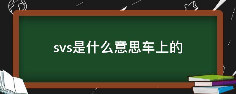 svs是什么意思车上的 svs车上是啥意思