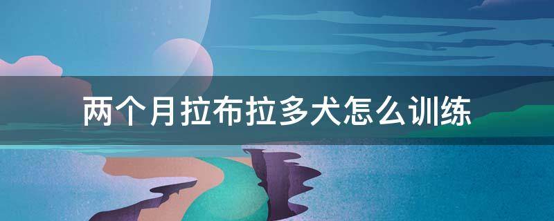 两个月拉布拉多犬怎么训练 两个月拉布拉多犬怎么训练排便