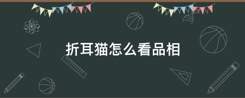 折耳猫怎么看品相 怎么看出是折耳猫