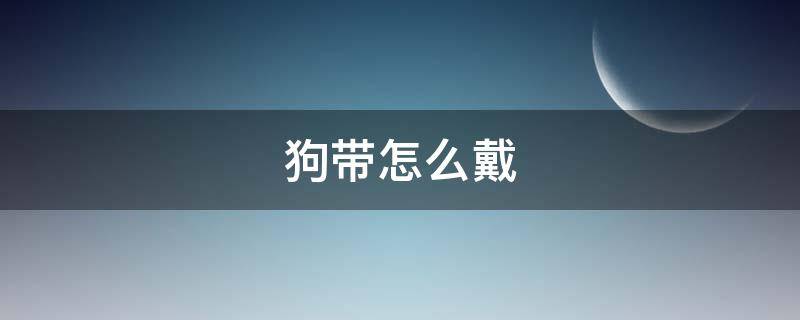 狗带怎么戴 狗背带怎么戴