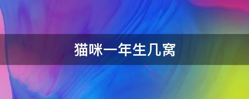 猫咪一年生几窝 猫咪一年生几窝合适