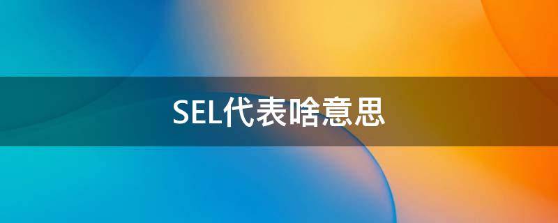 SEL代表啥意思 sel是什么意思
