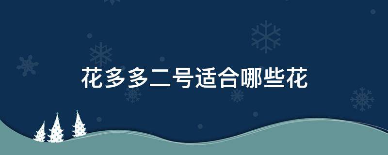 花多多二号适合哪些花 花多多二号适合哪些花什么价格