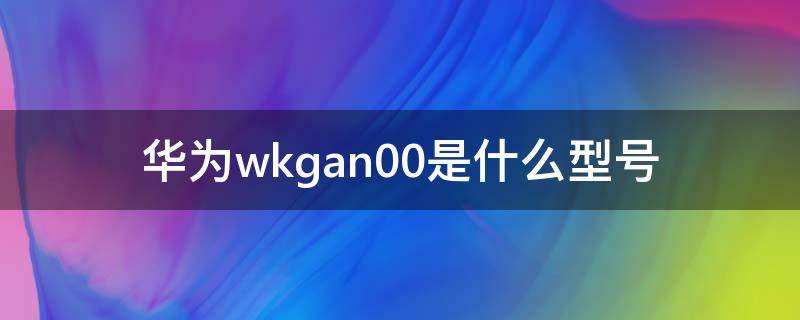 华为wkgan00是什么型号（华为al00参数）