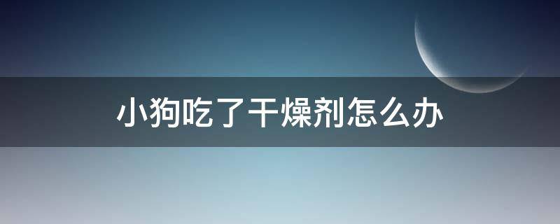 小狗吃了干燥剂怎么办（小狗不小心吃了干燥剂怎么办）