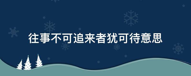 往事不可追来者犹可待意思（往事不可追,来者犹可忆）