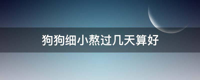 狗狗细小熬过几天算好（狗狗得了细小熬过几天就算没事了）