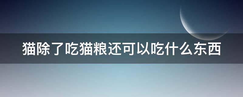 猫除了吃猫粮还可以吃什么东西（猫除了吃猫粮还可以吃什么东西幼猫）