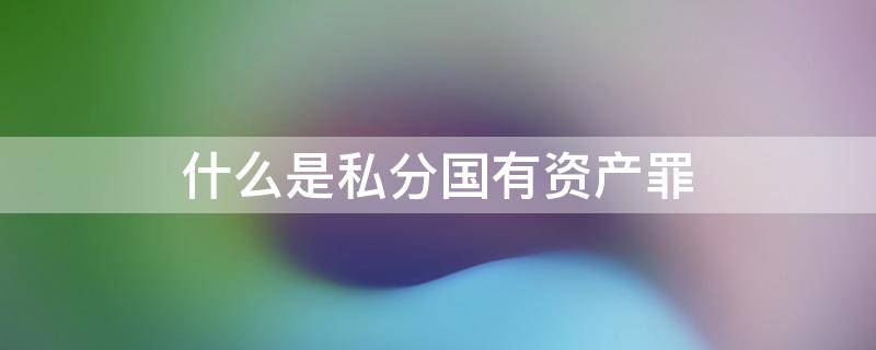 什么是私分国有资产罪（私分国有资产罪的国有资产）