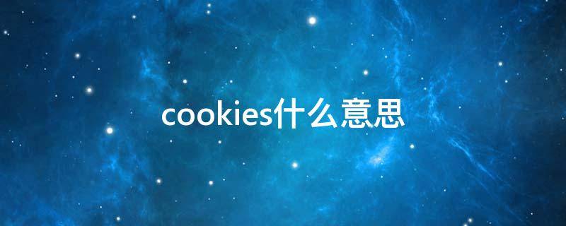 cookies什么意思 cookie什么意思