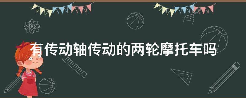 有传动轴传动的两轮摩托车吗 两轮摩托车改装轴传动