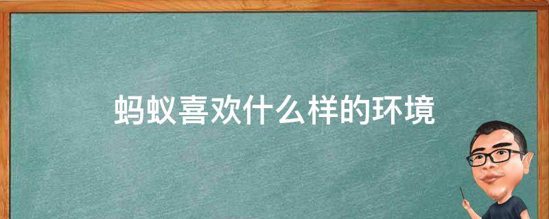 蚂蚁喜欢什么样的环境 蚂蚁喜欢什么样的环境湿润还是干燥