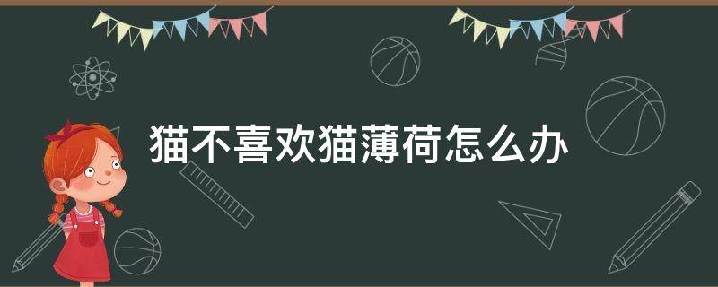 猫不喜欢猫薄荷怎么办 猫咪不喜欢吃薄荷怎么办