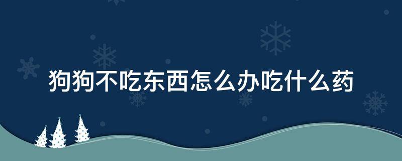 狗狗不吃东西怎么办吃什么药 狗狗不吃东西不吃药怎么办