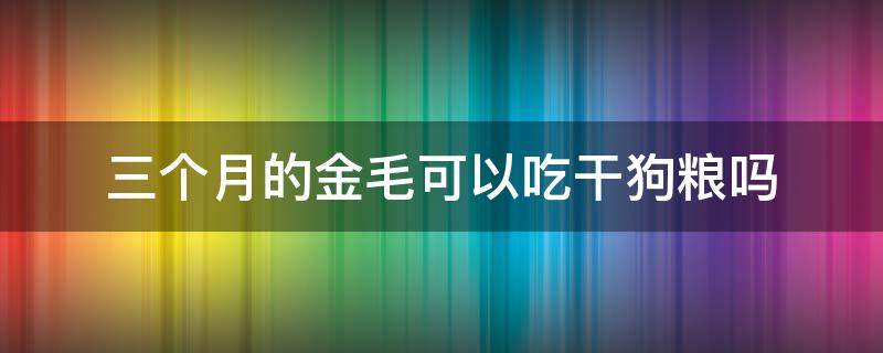 三个月的金毛可以吃干狗粮吗 金毛狗几个月可以吃干狗粮