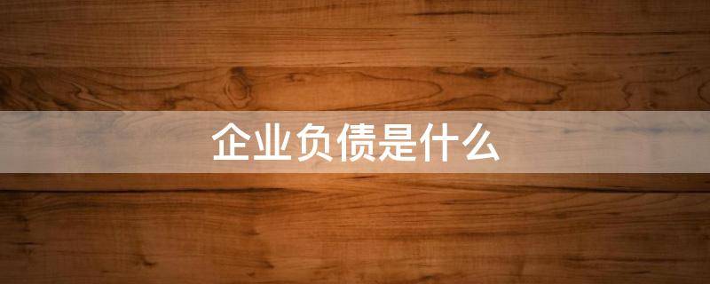 企业负债是什么 什么是企业负债,企业为什么要负债?