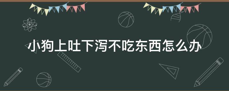 小狗上吐下泻不吃东西怎么办（狗不吃东西上吐下泻是怎么回事）