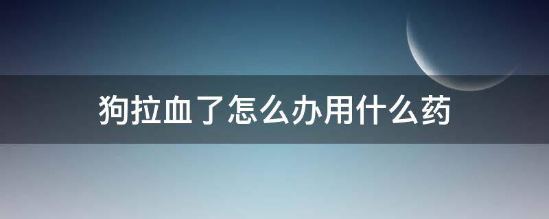 狗拉血了怎么办用什么药 狗拉血是怎么回事要用什么药