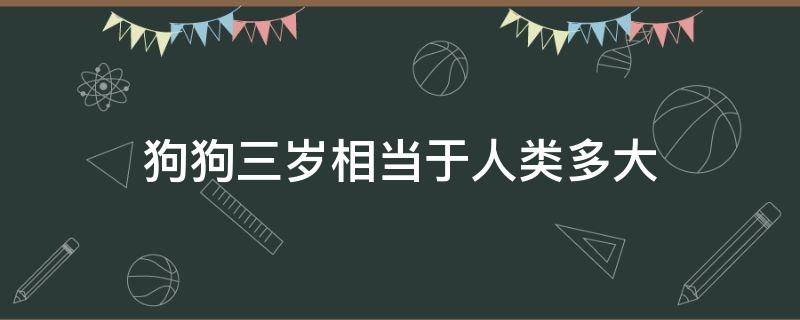 狗狗三岁相当于人类多大 狗狗三岁相当于人类多大多少岁