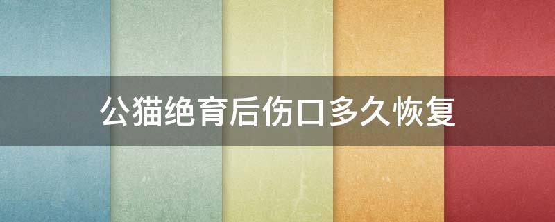 公猫绝育后伤口多久恢复 公猫绝育完伤口多久愈合