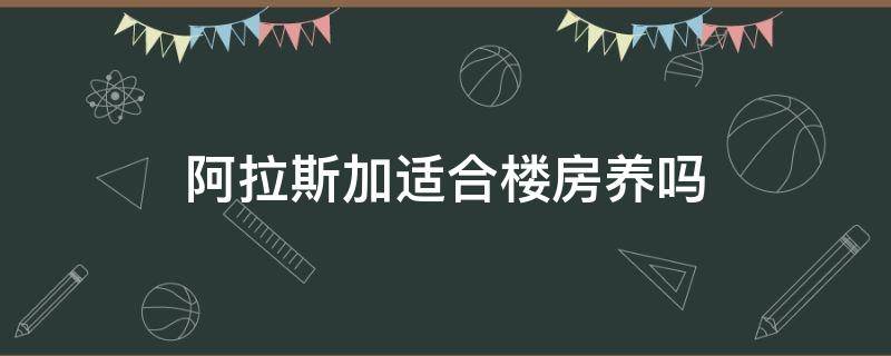 阿拉斯加适合楼房养吗 阿拉斯加犬适合楼房养吗