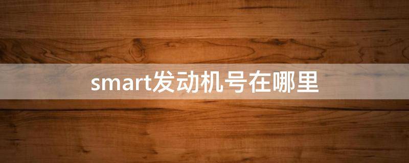 smart发动机号在哪里 smart发动机号在哪里看