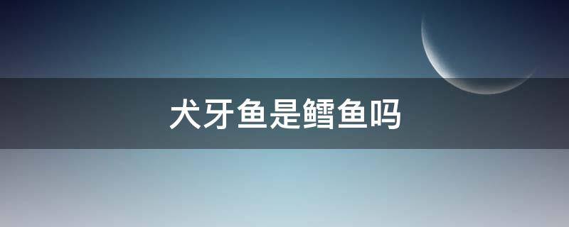 犬牙鱼是鳕鱼吗 南极犬牙鱼是鳕鱼吗