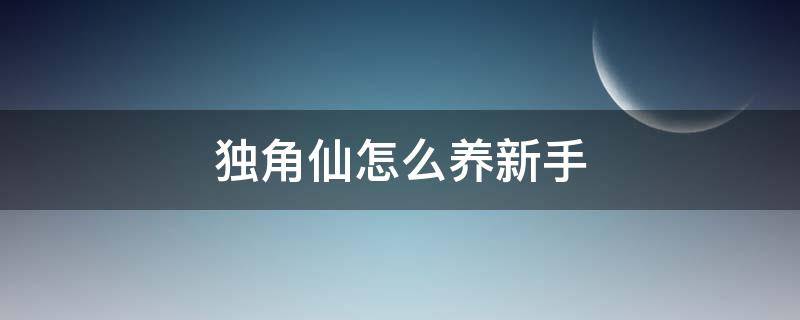 独角仙怎么养新手 独角仙要怎么养