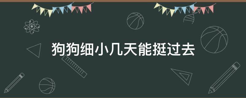 狗狗细小几天能挺过去（细小病毒狗狗撑过几天可以没事）