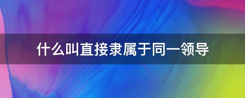 什么叫直接隶属于同一领导（隶属和领导）