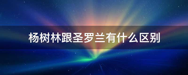 杨树林跟圣罗兰有什么区别 杨树林和圣罗兰有什么区别