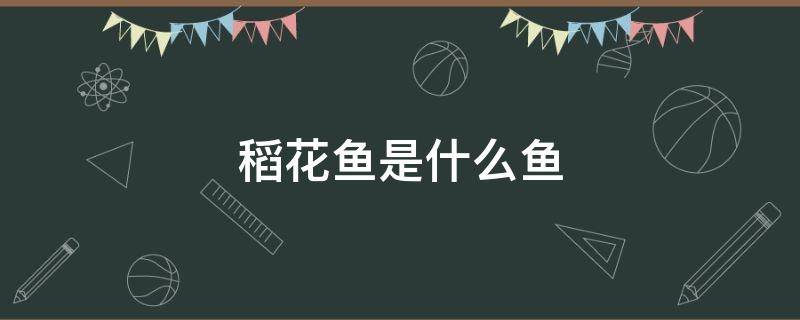 稻花鱼是什么鱼 稻花鱼是什么鱼 稻花鱼是鲤鱼吗