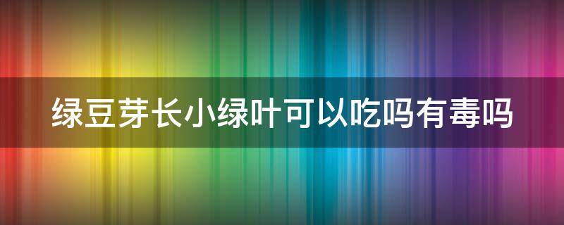 绿豆芽长小绿叶可以吃吗有毒吗