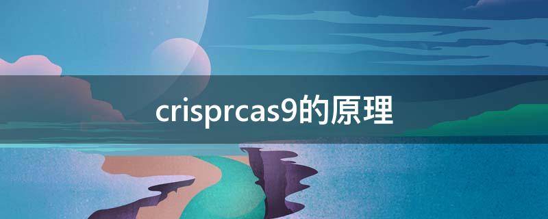 crisprcas9的原理 crisprcas9步骤