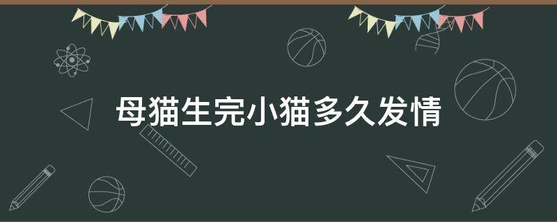 母猫生完小猫多久发情（母猫生完小猫多久可以绝育）