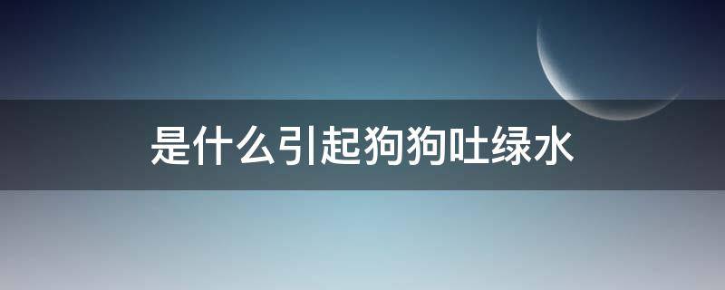 是什么引起狗狗吐绿水 是什么引起狗狗吐绿水有沫