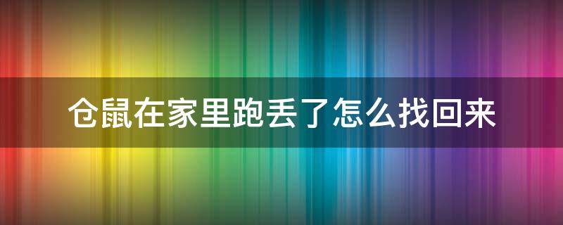 仓鼠在家里跑丢了怎么找回来 仓鼠在家里跑丢了怎么快速找回来