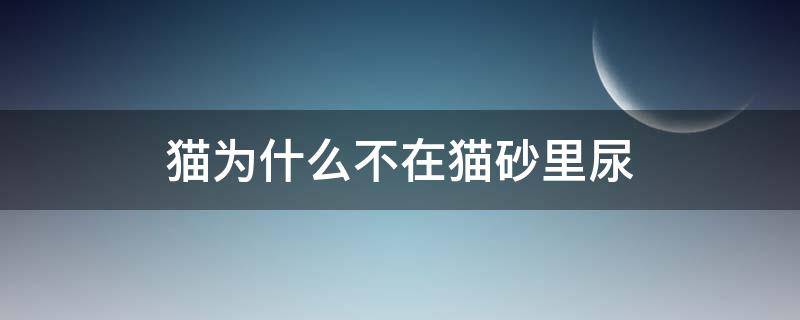 猫为什么不在猫砂里尿（猫只尿在猫砂里不拉在猫砂里）