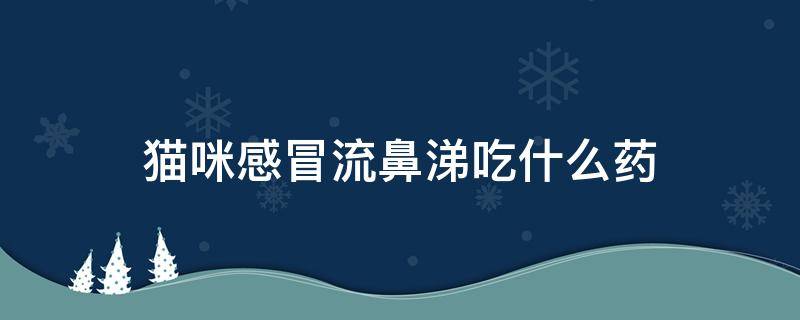 猫咪感冒流鼻涕吃什么药 猫咪感冒流鼻涕吃什么药好