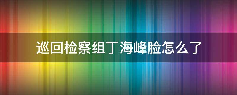 巡回检察组丁海峰脸怎么了 《巡回检察组》丁海峰