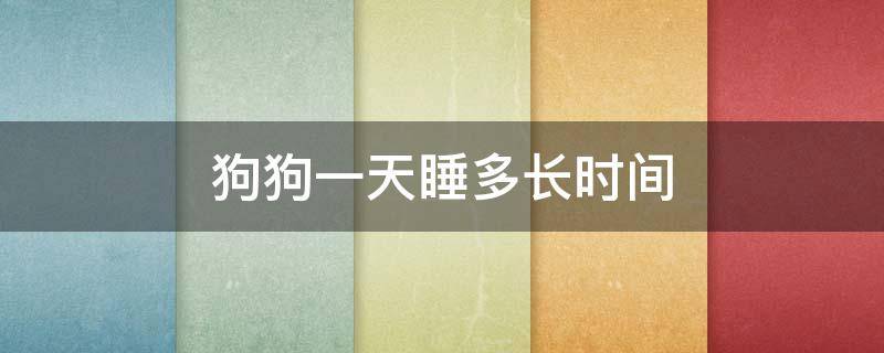 狗狗一天睡多长时间 六个月的狗狗一天睡多长时间