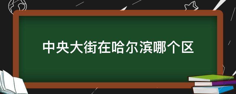 中央大街在哈尔滨哪个区（哈尔滨中央大街什么区）