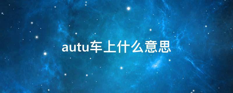 autu车上什么意思 autu车上的