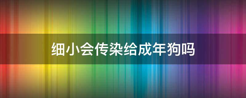 细小会传染给成年狗吗（狗狗细小会传染给成年狗吗）