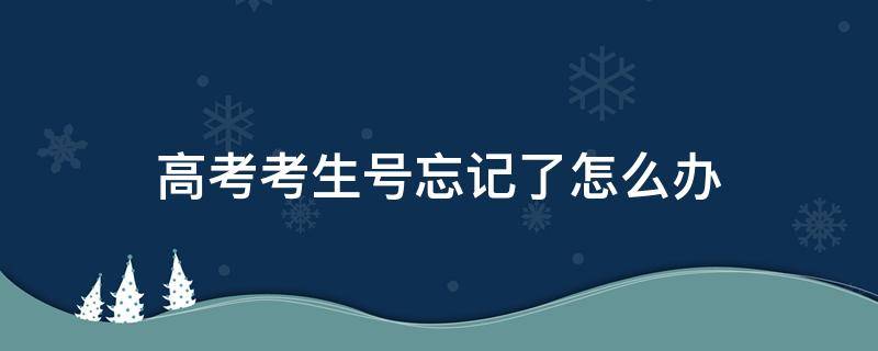 高考考生号忘记了怎么办 高考考生号忘了咋办